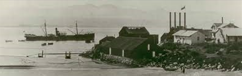 Cultural heritage (traditional)