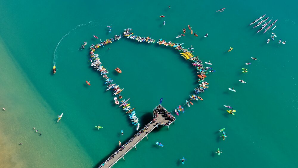 Hervey Bay Whale Festival