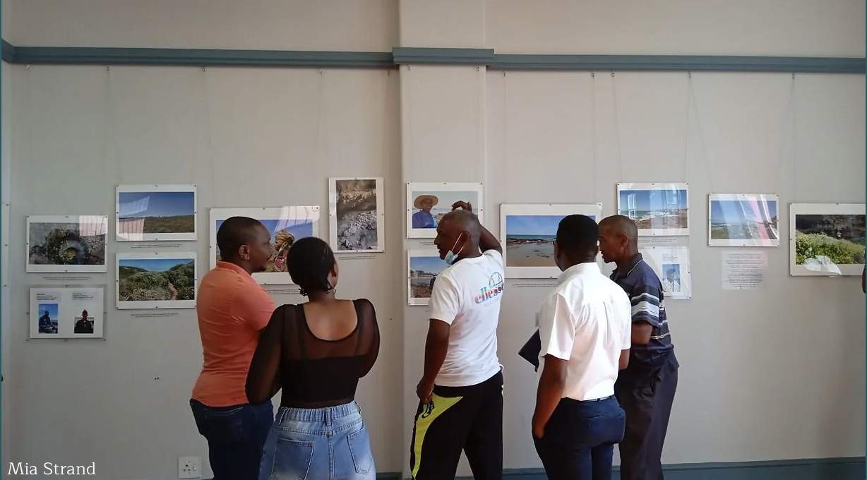 Algoa Bay Whale Heritage Area - Wildlife Heritage