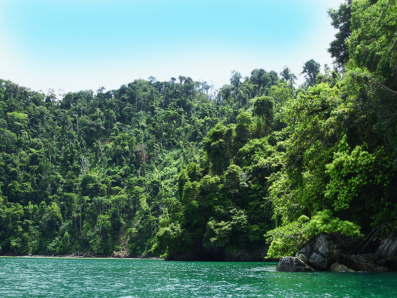 Conservation success