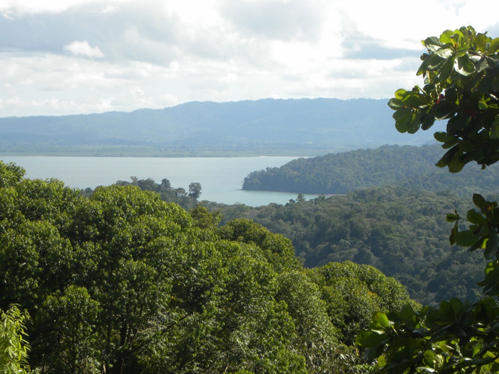 Golfo Dulce Whale Heritage Area