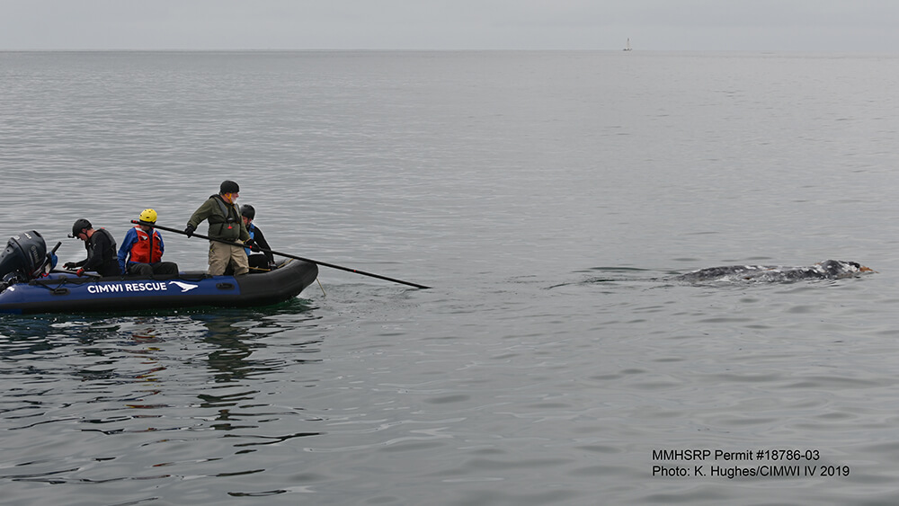 Education and research