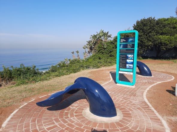 Human-cetacean conflict solutions