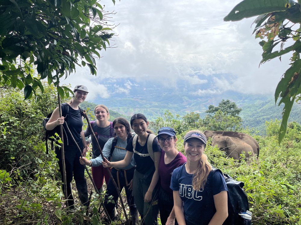 Living In the Forest with Elephants (LIFE)