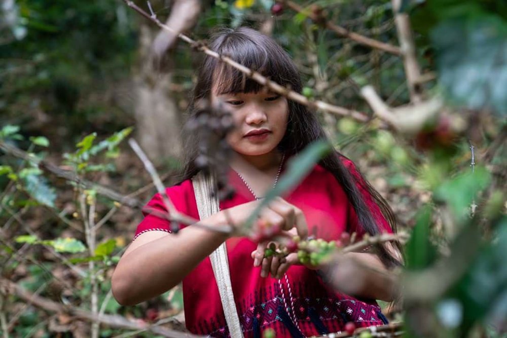 LIFE Elephant Heritage Area