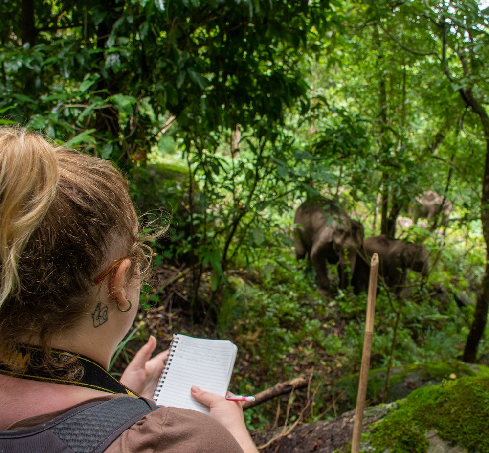Field course: Asian Elephants in Context: Animal behaviour and conservation in Thailand