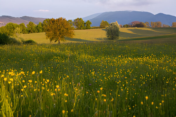 THE NEW SCIENTIST TOUR