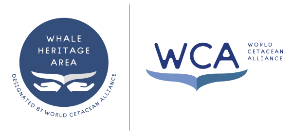 World Cetacean Alliance